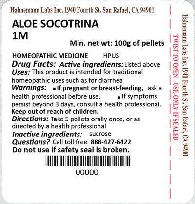 Aloe Socotrina 1m 100g (Aloe Socotrina 1m 100g)
